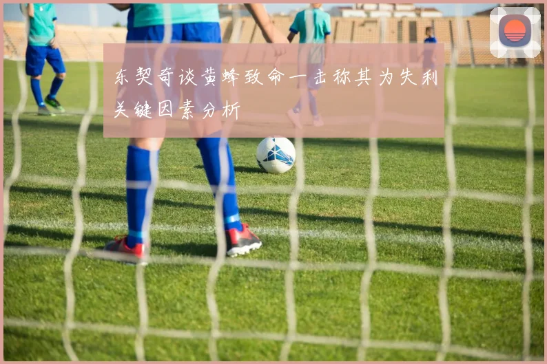 东契奇谈黄蜂致命一击称其为失利关键因素分析